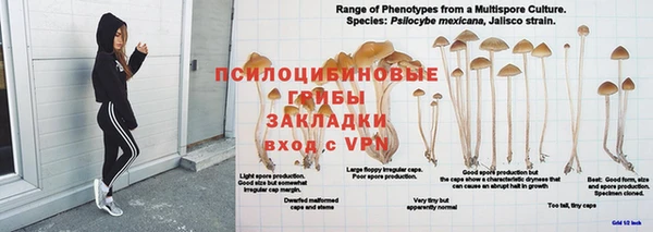 jwh Инсар