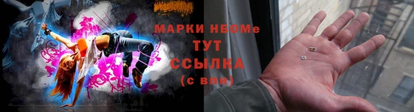 гидропоника Иннополис
