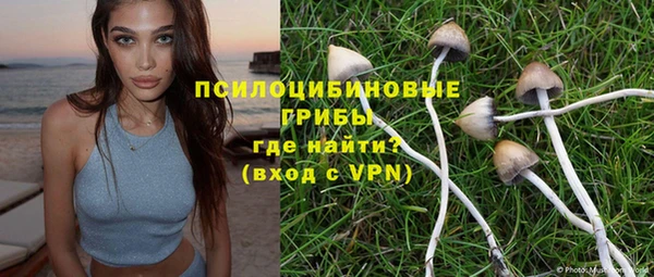 jwh Инсар