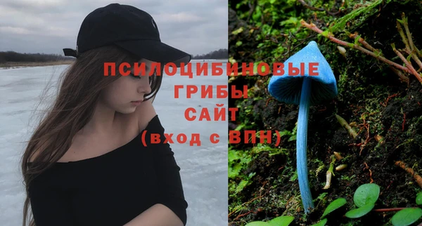 гидропоника Иннополис