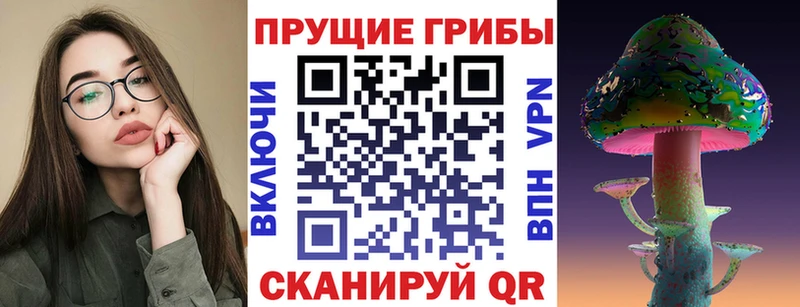 Купить  Павловская  Псилоцибиновые грибы Psilocybine cubensis 